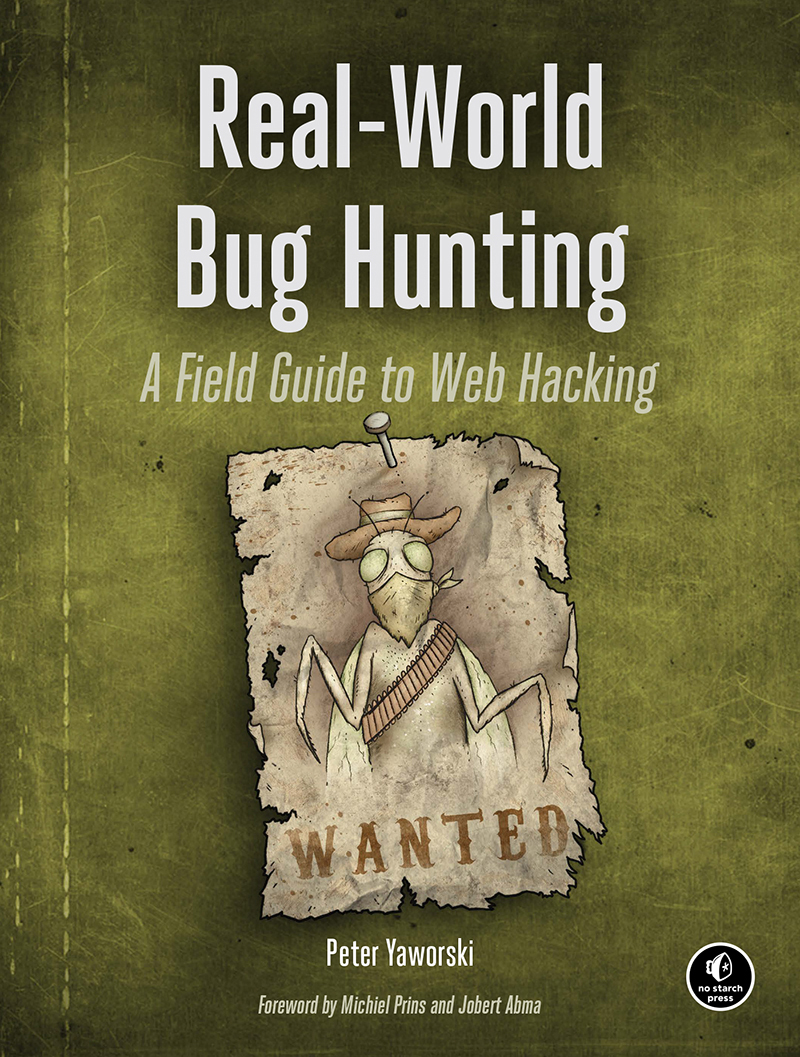 Real-World Bug Hunting