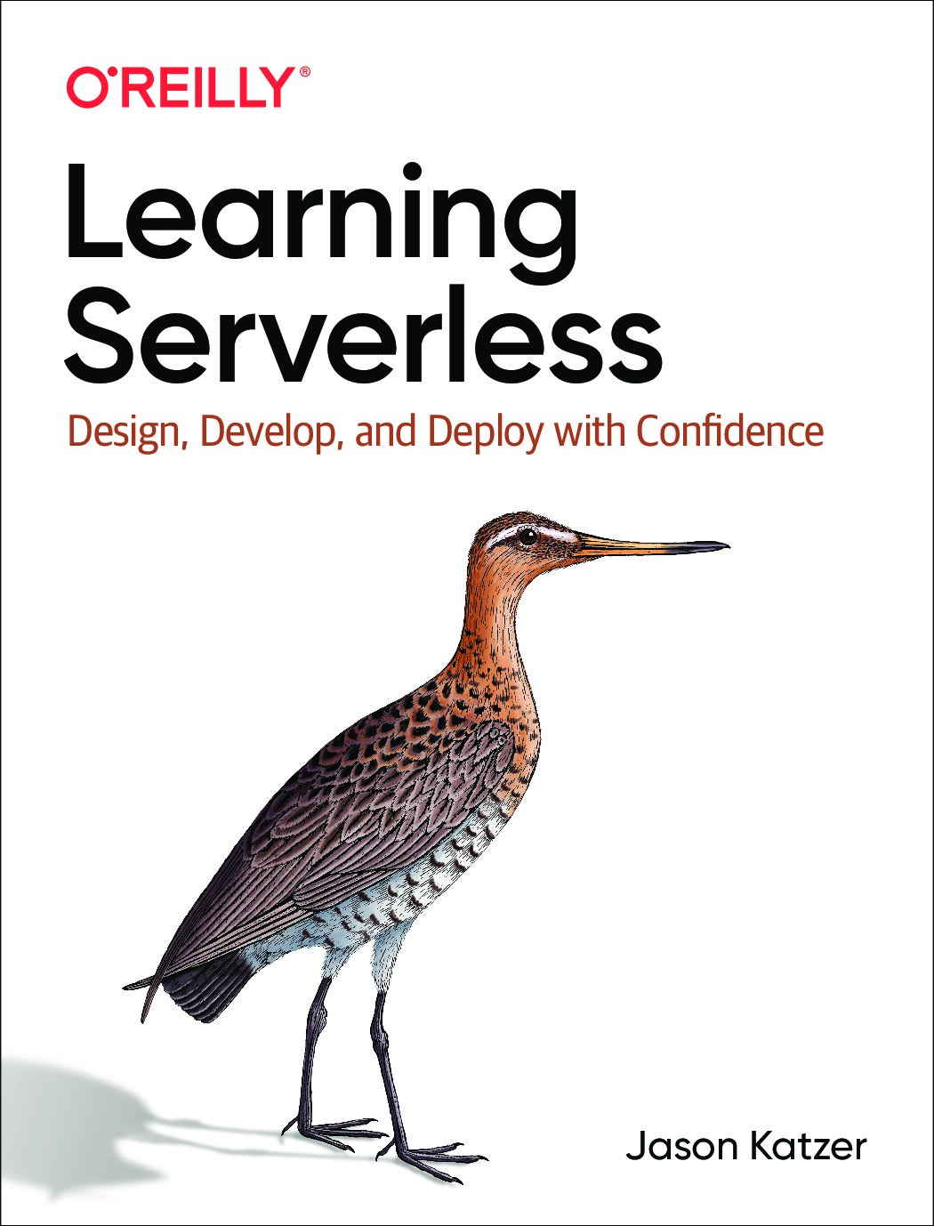 Learning Serverless