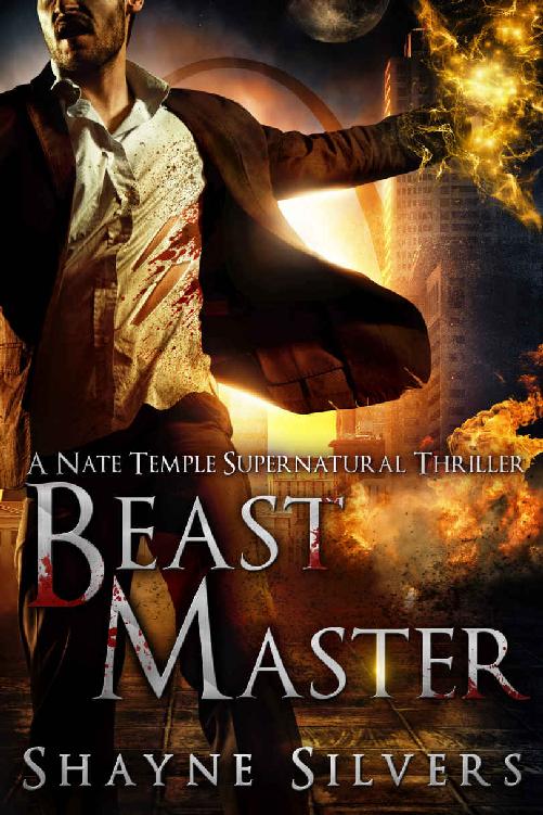 Tiny Gods: A Nate Temple Supernatural Thriller Book 6