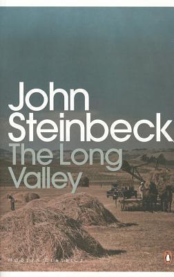 The long valley