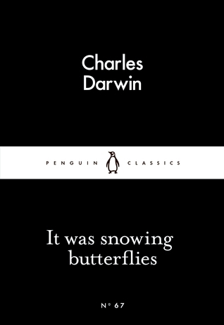 It Was Snowing Butterflies